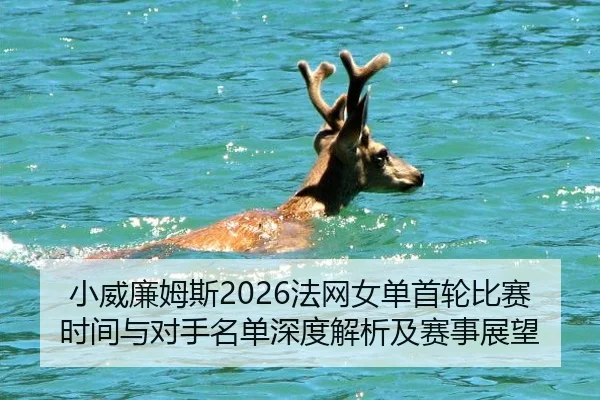 小威廉姆斯2026法网女单首轮比赛时间与对手名单深度解析及赛事展望